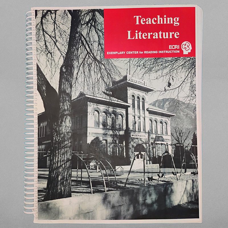Front cover of Teaching Literature