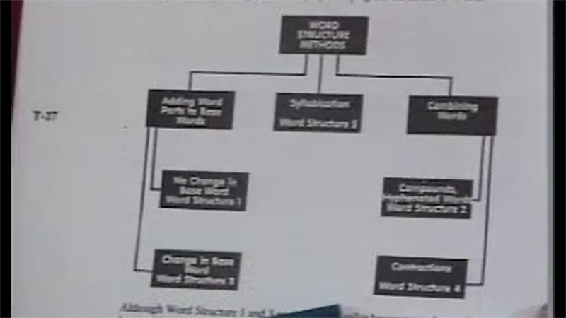Teaching New Words Through the Word Structure Methods